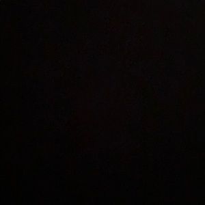 Meet your Posher, Delores